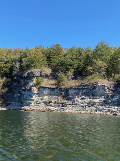 Tbd Bluff View Road Property Photo 60