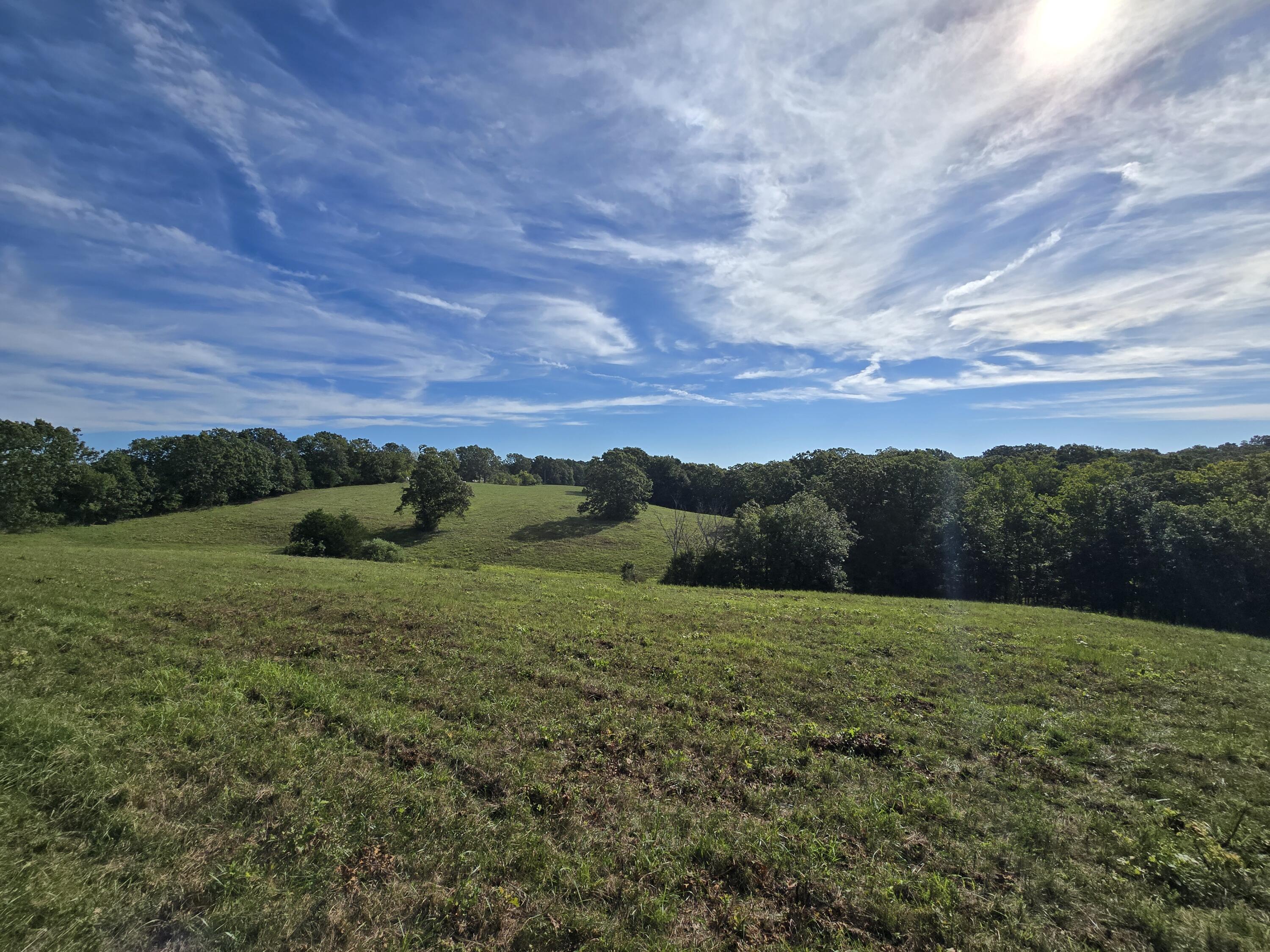 Tbd Longview Road Property Photo 1