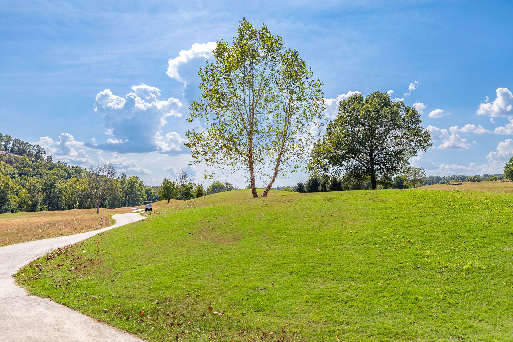 1211 Cox Ford Road Property Photo 2