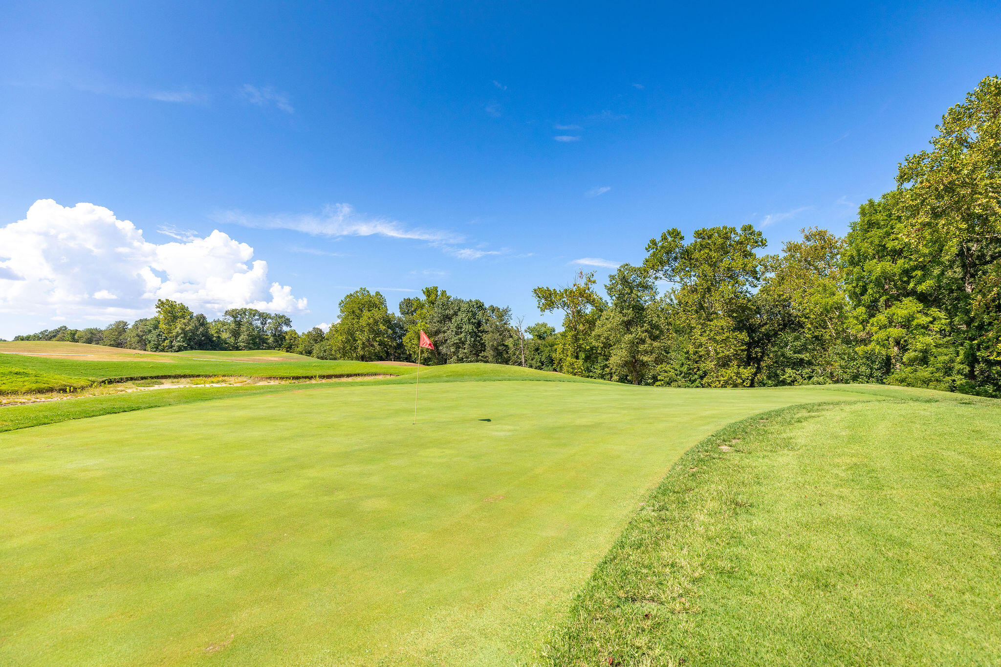 1211 Cox Ford Road Property Photo 3