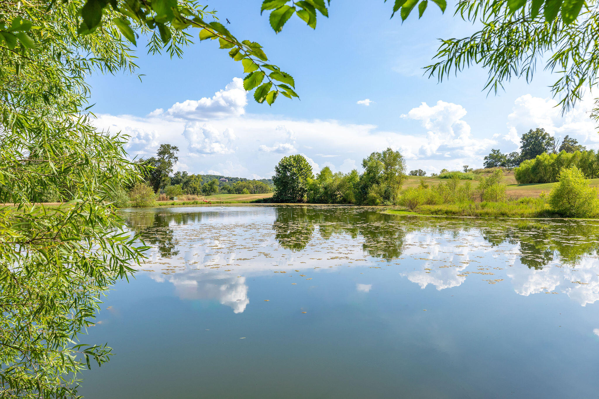 1211 Cox Ford Road Property Photo 12