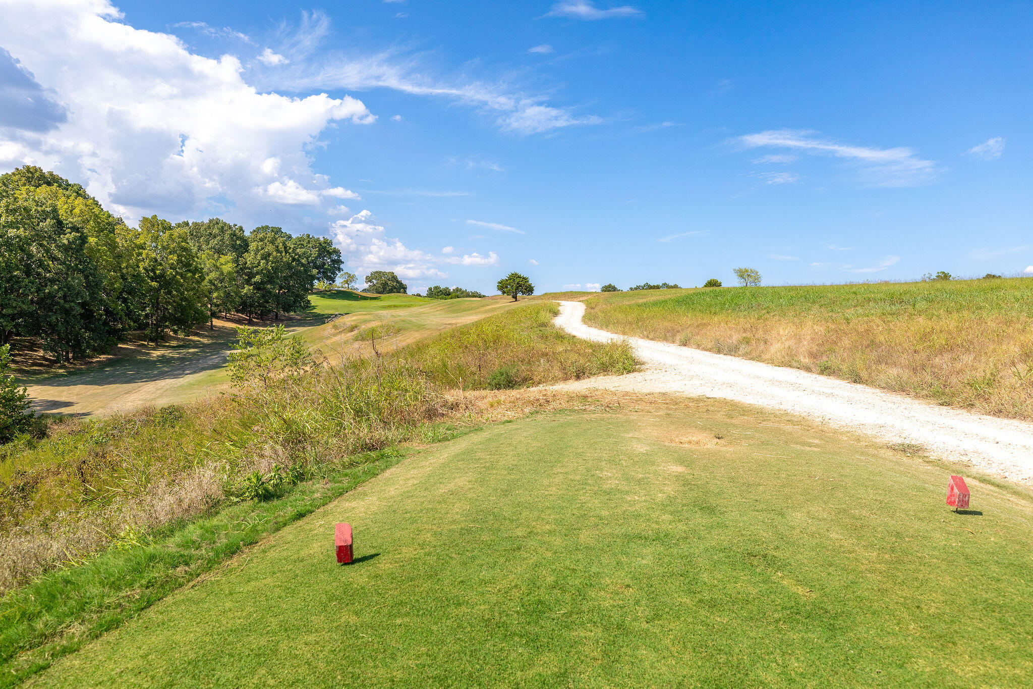1211 Cox Ford Road Property Photo 13