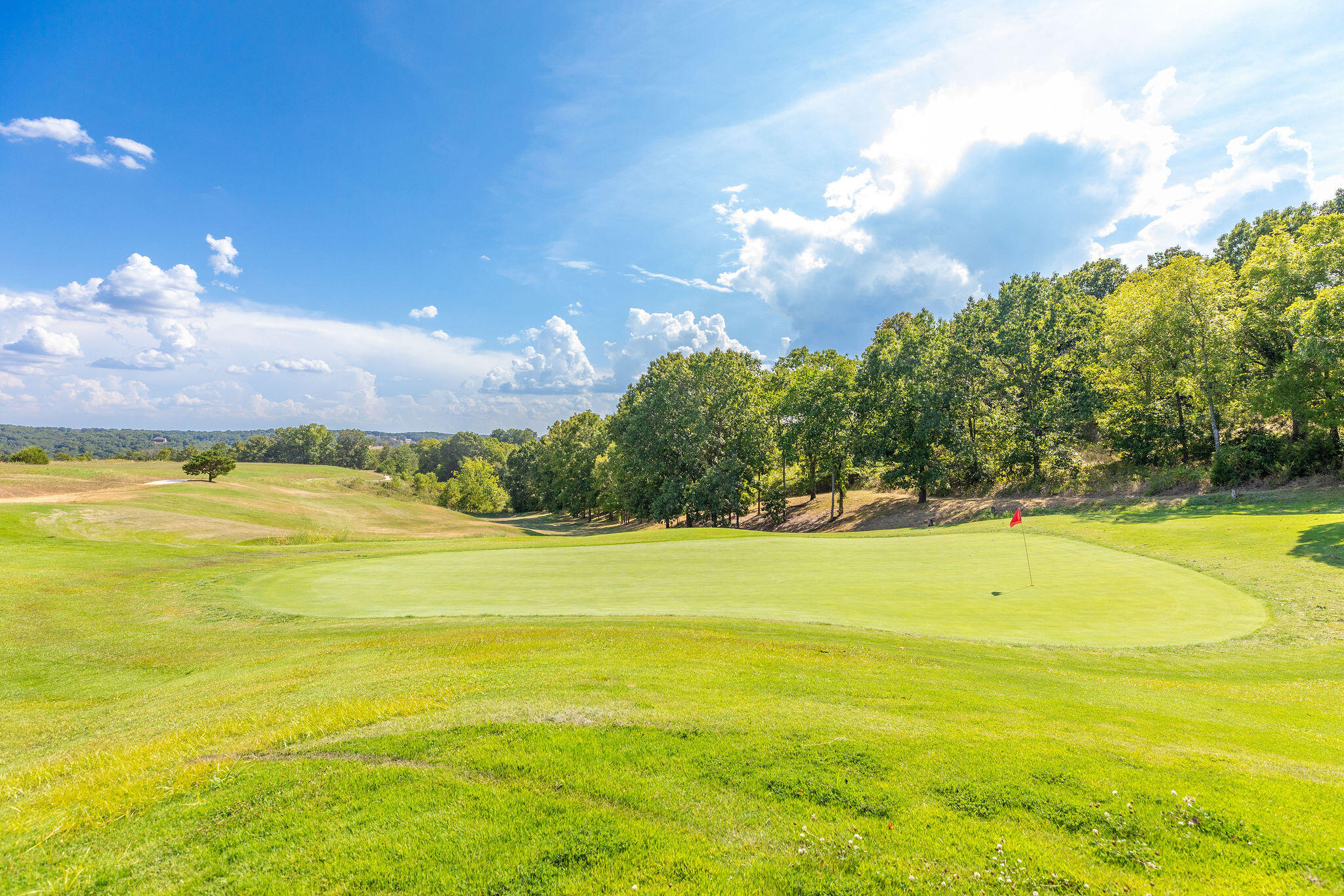 1211 Cox Ford Road Property Photo 14