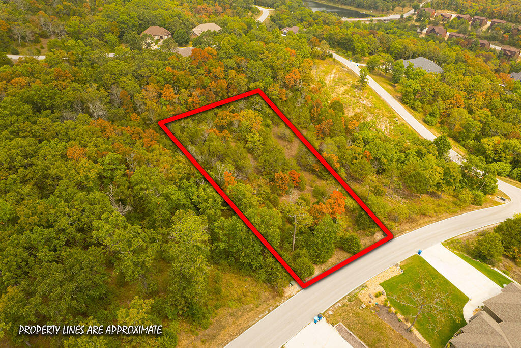 207 Black Forest Lane Property Photo 1