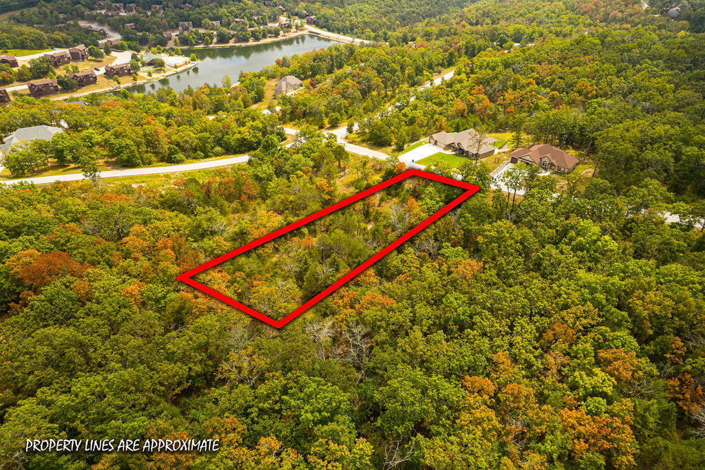 207 Black Forest Lane Property Photo 2