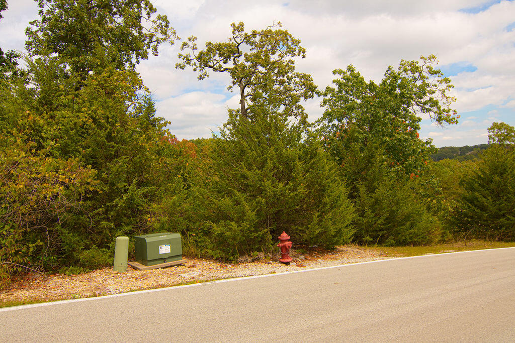 207 Black Forest Lane Property Photo 3