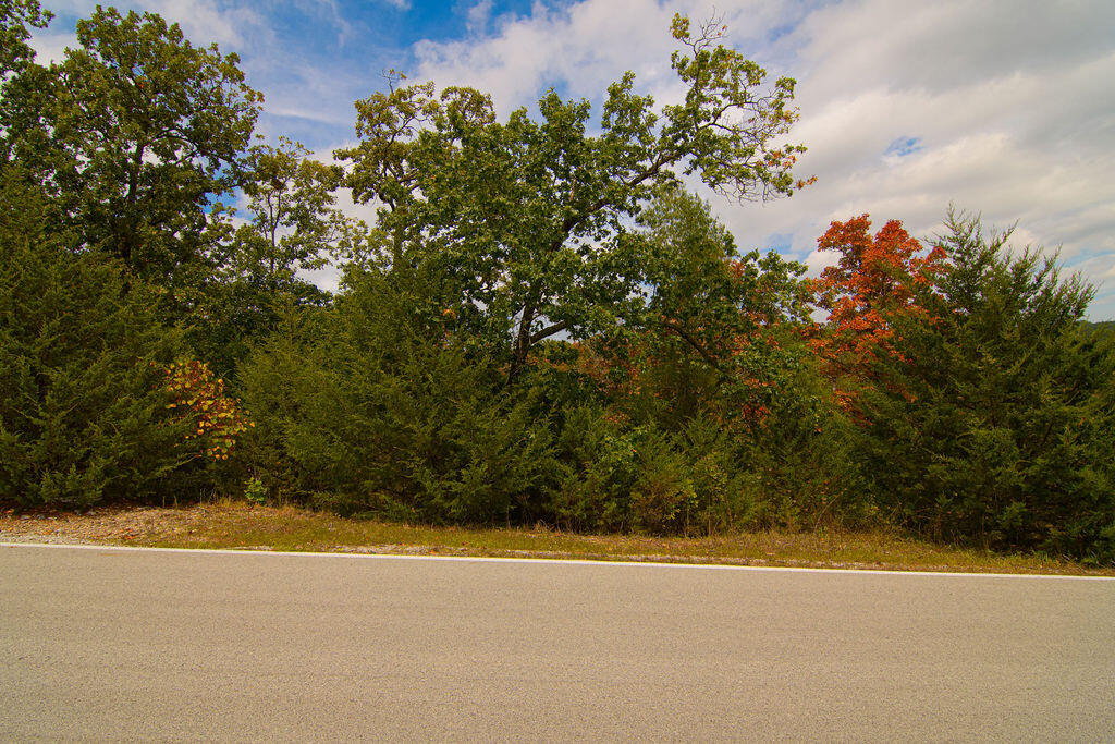 207 Black Forest Lane Property Photo 4