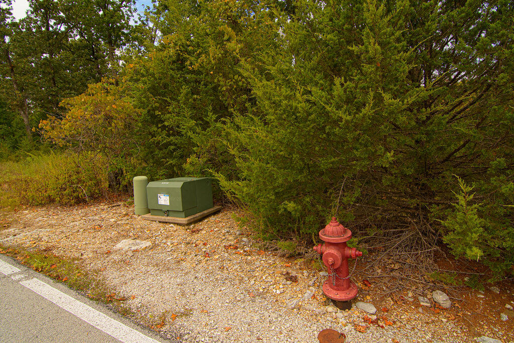 207 Black Forest Lane Property Photo 8