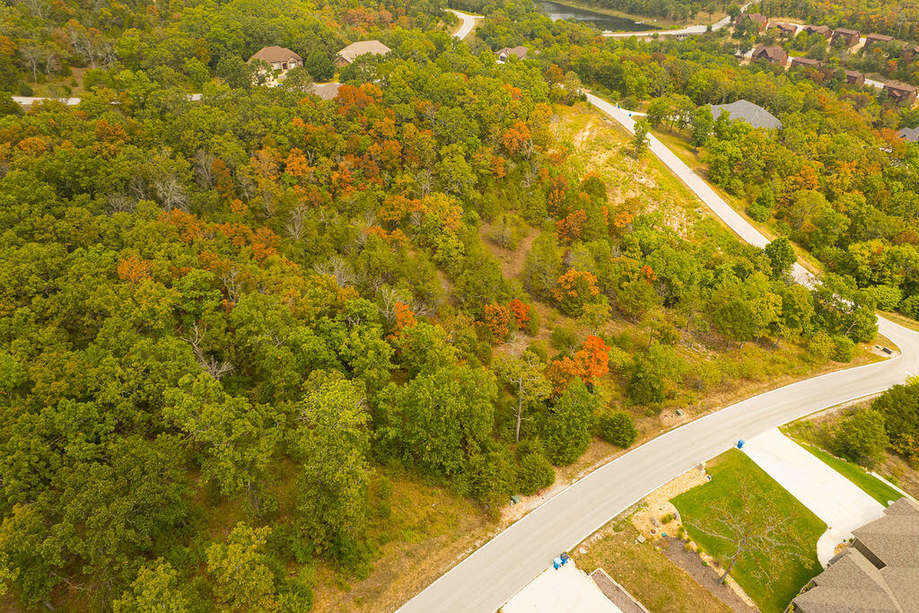 207 Black Forest Lane Property Photo 9