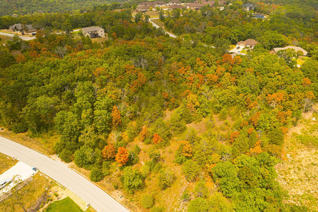 207 Black Forest Lane Property Photo 11