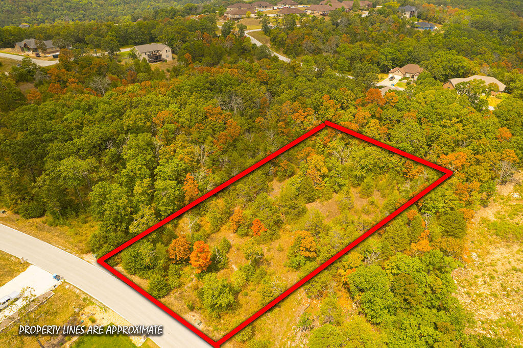 207 Black Forest Lane Property Photo 12