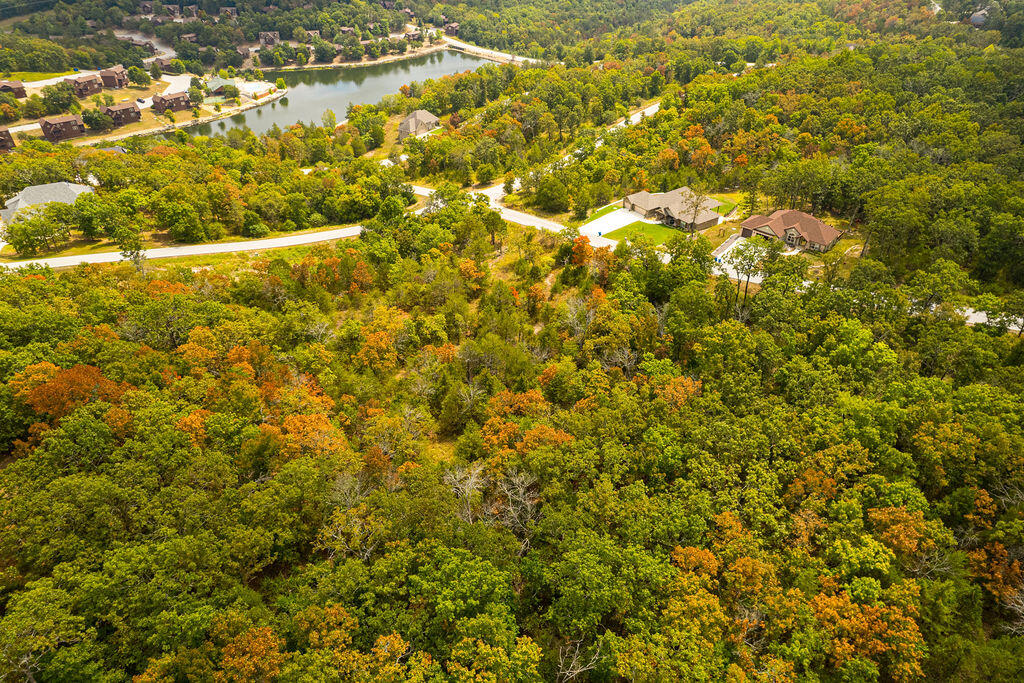 207 Black Forest Lane Property Photo 13