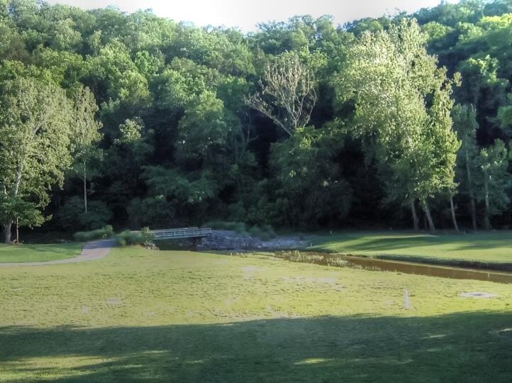 207 Black Forest Lane Property Photo 16