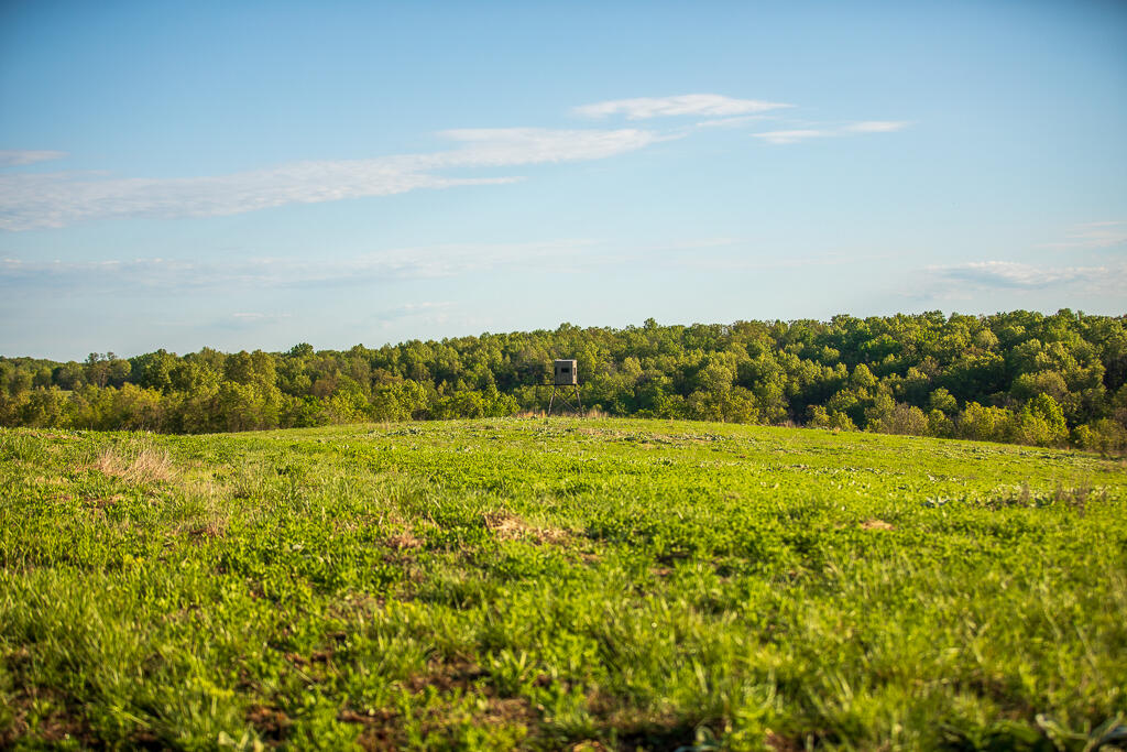 13760 Junction Road Property Photo 104