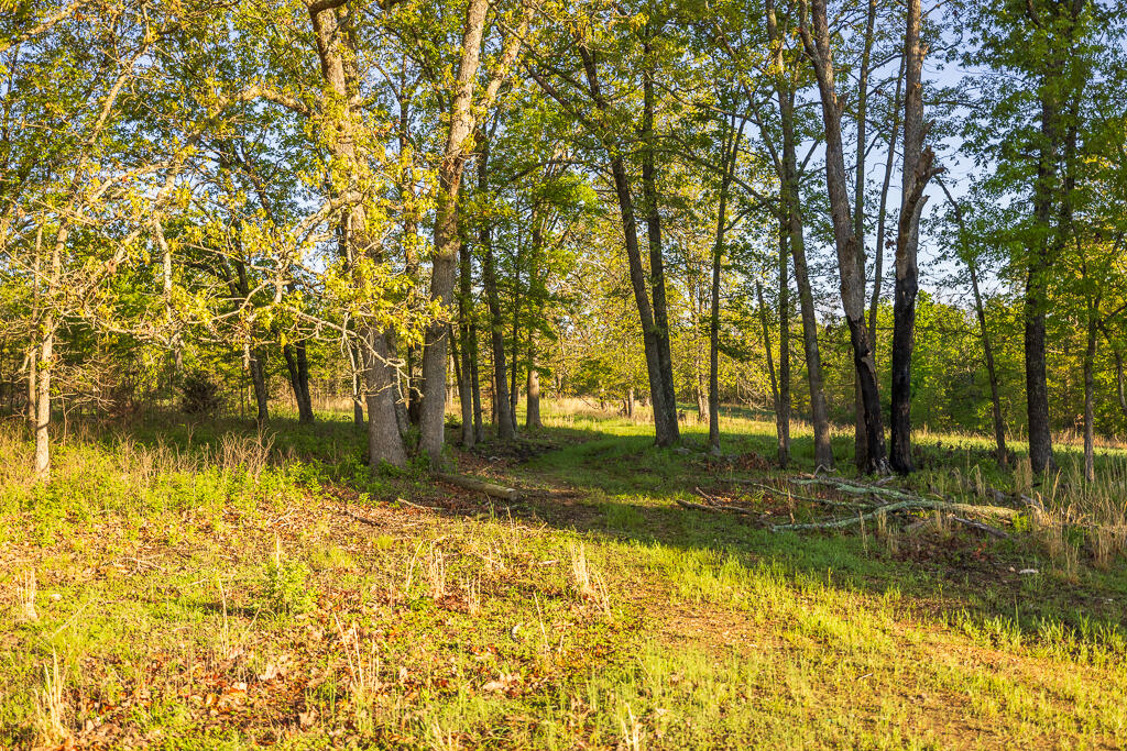 13760 Junction Road Property Photo 132