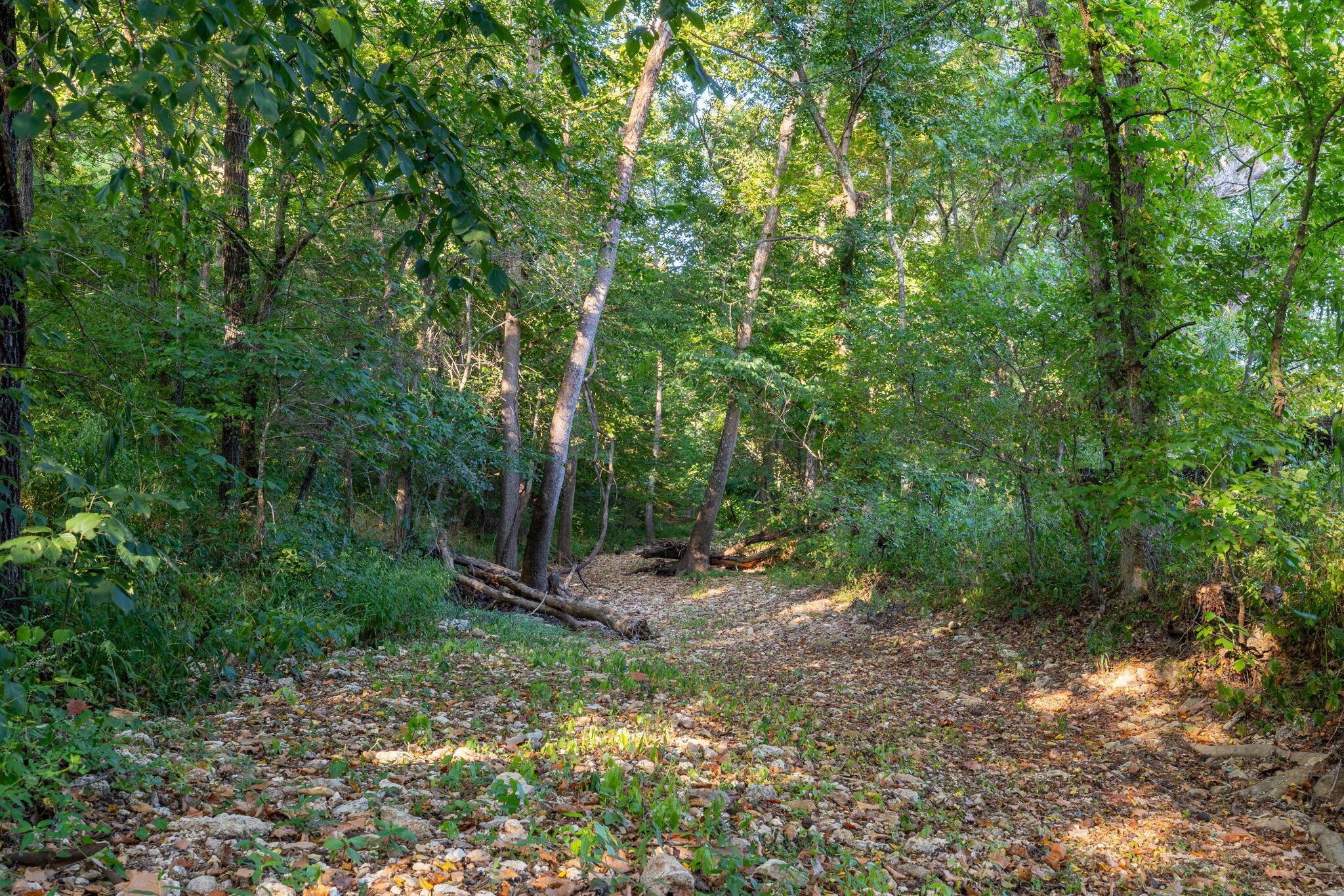 13760 Junction Road Property Photo 163