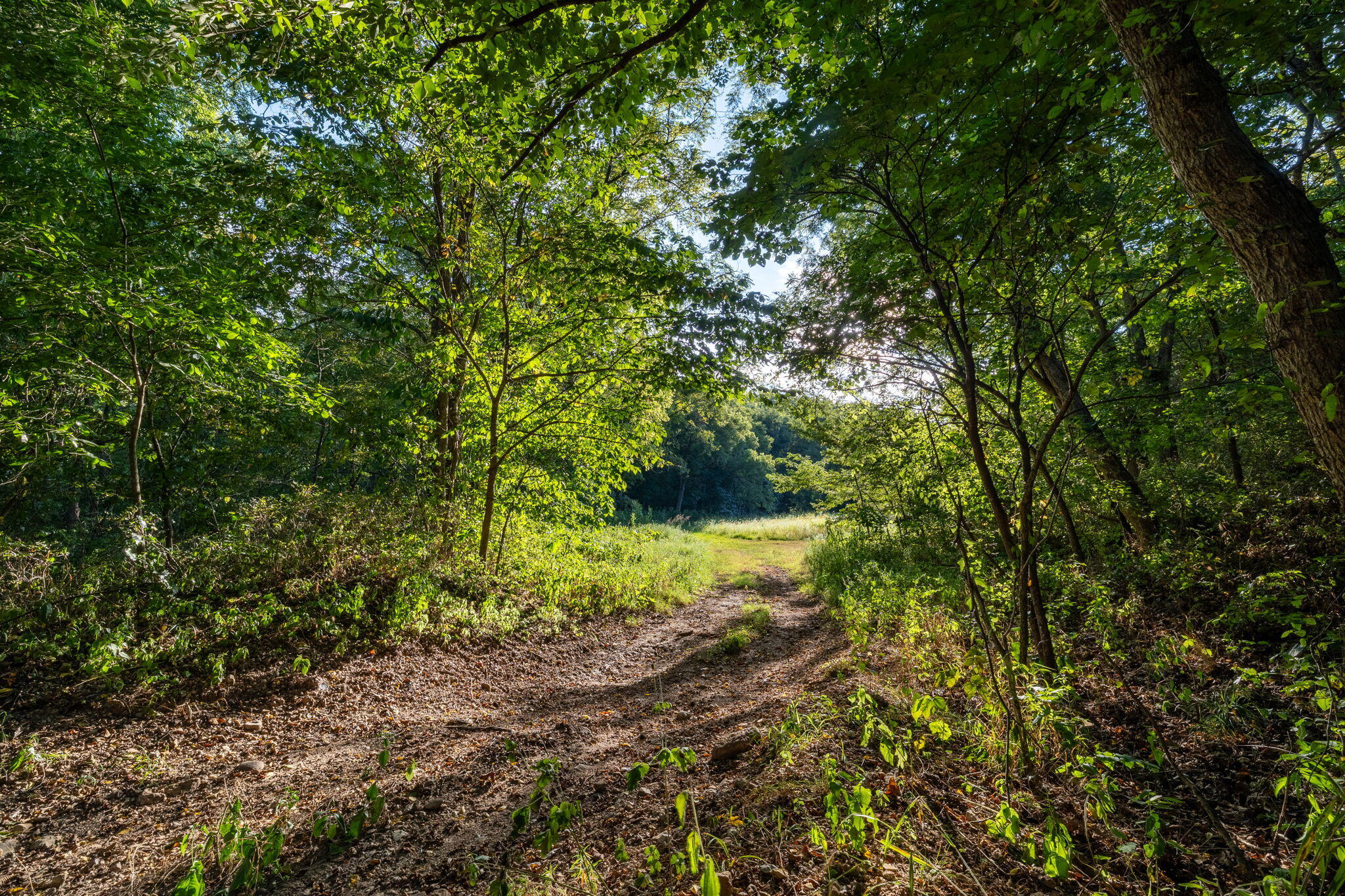 13760 Junction Road Property Photo 166