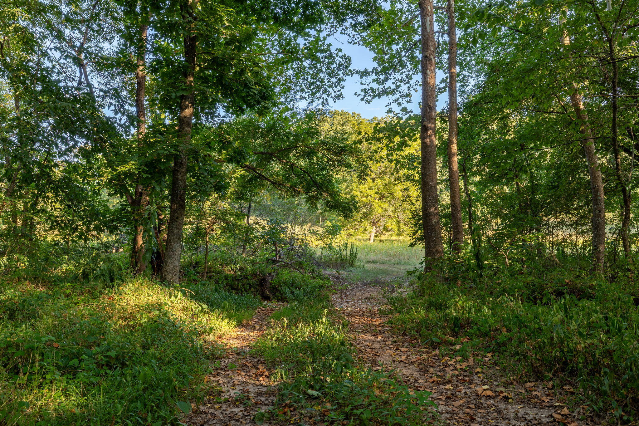13760 Junction Road Property Photo 167