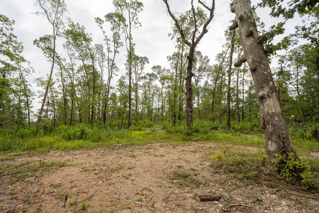 000 Cowan Ridge Rd Property Photo 11