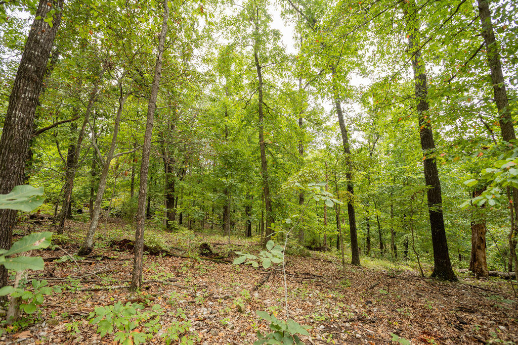 000 Cowan Ridge Rd Property Photo 13
