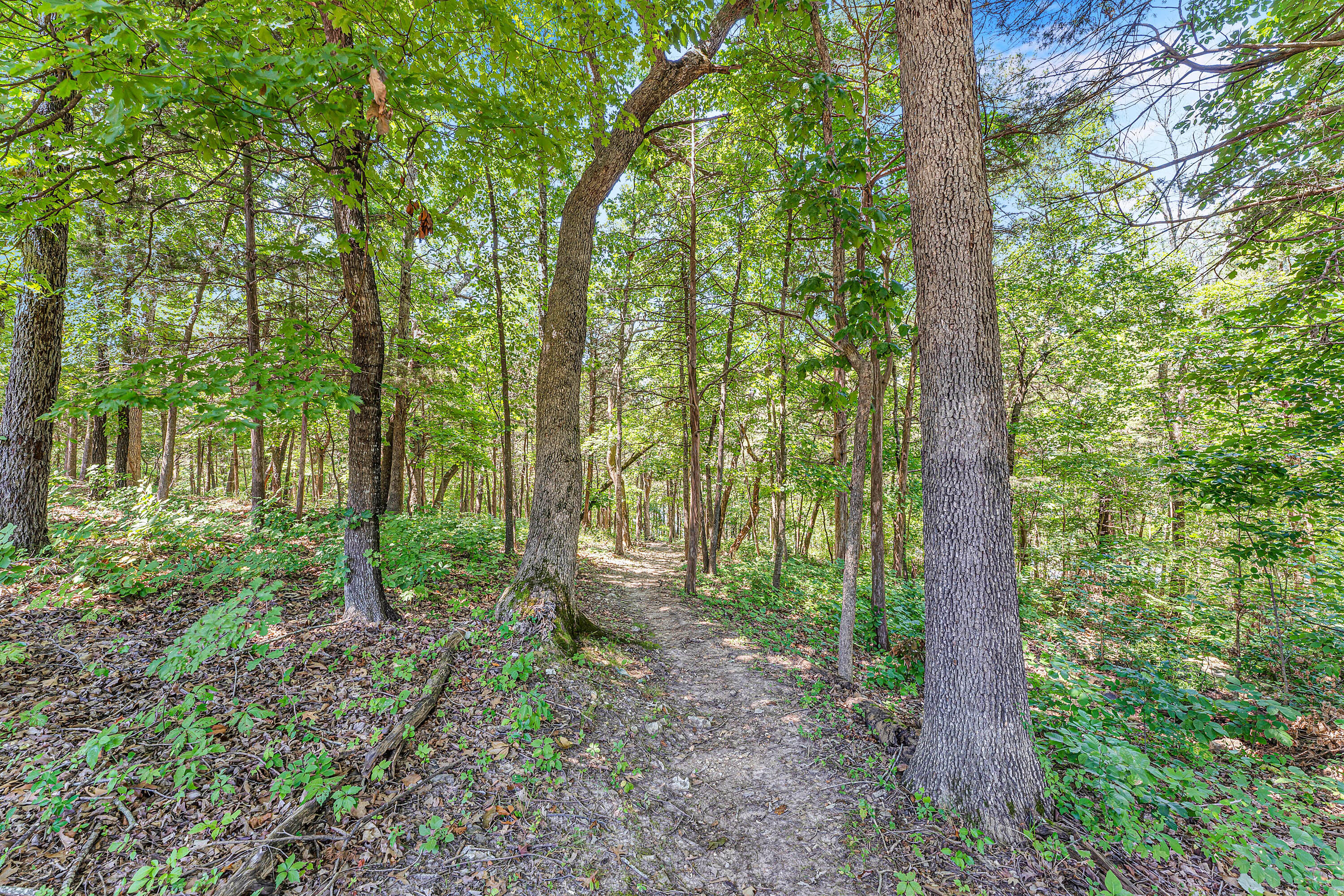 40 Kimberling Lane Property Photo 7