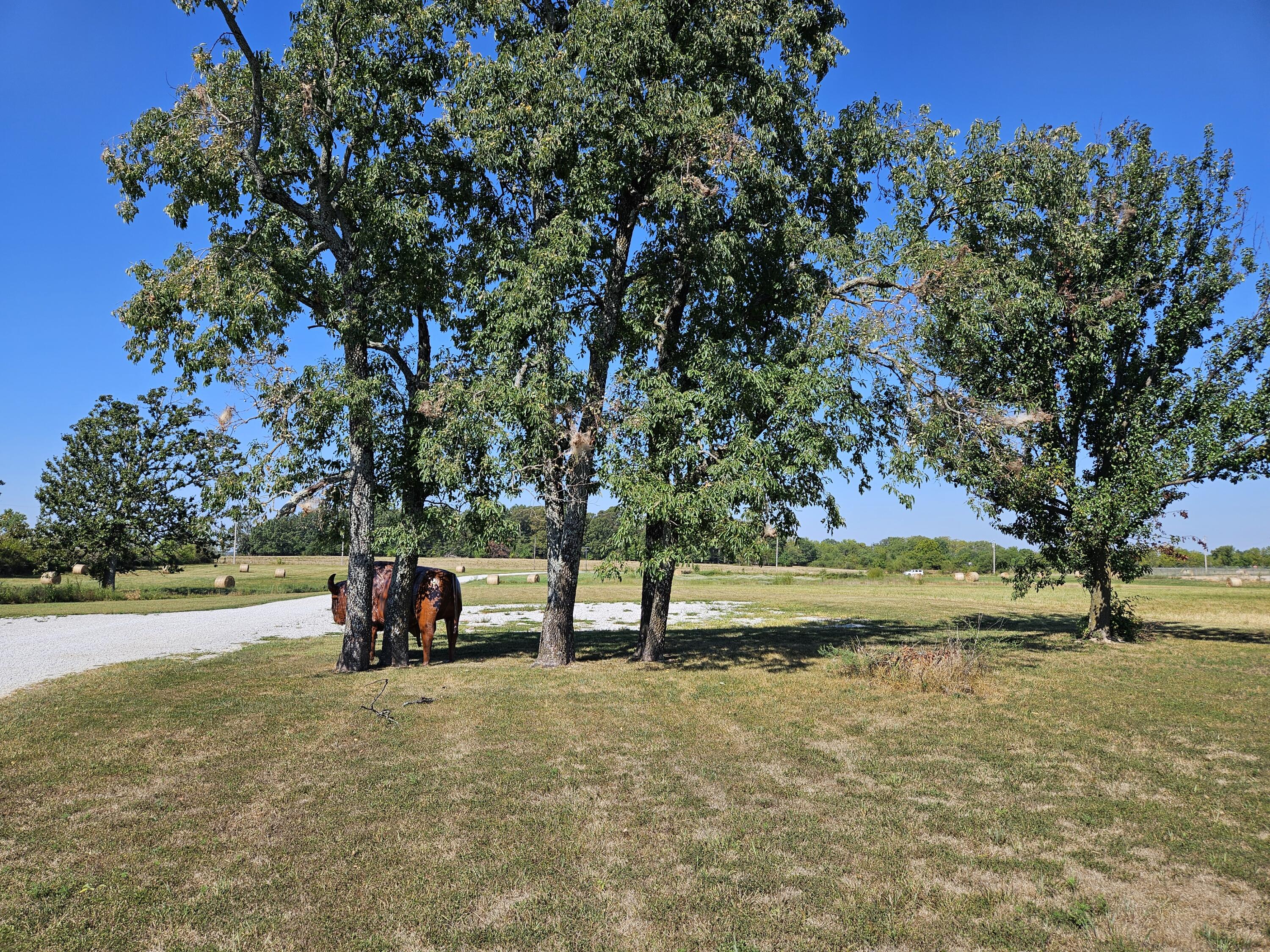 19586 Lawrence 1230 Property Photo 42