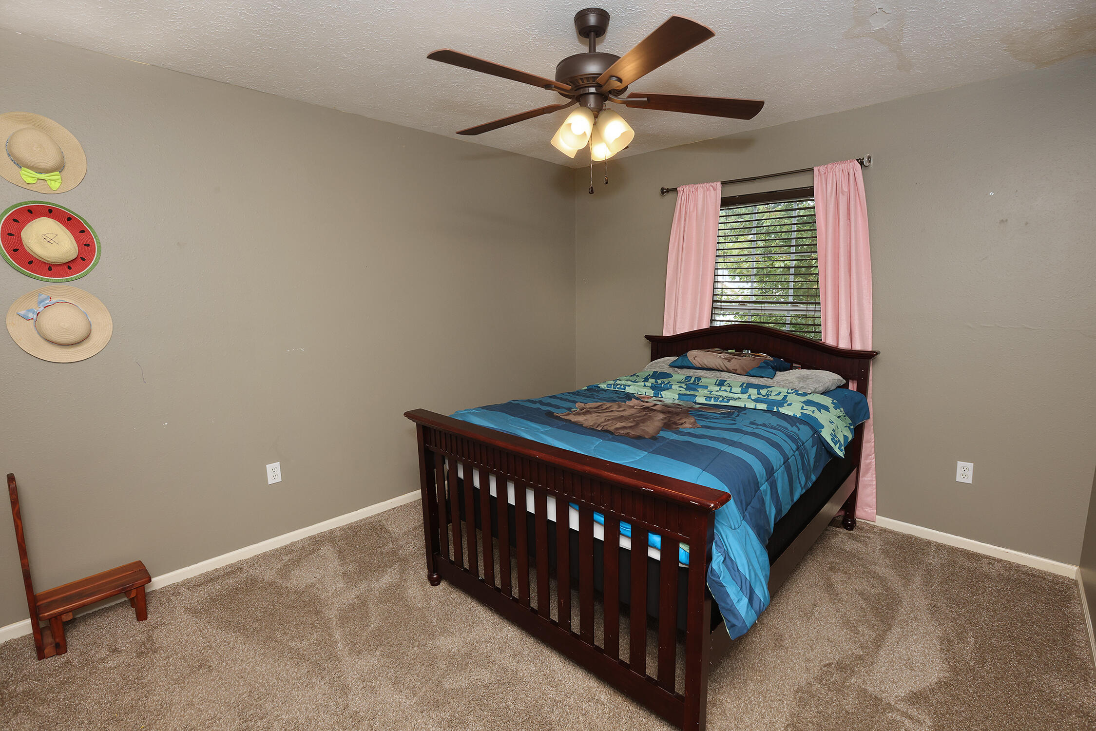 735 Poplar Court Property Photo 12