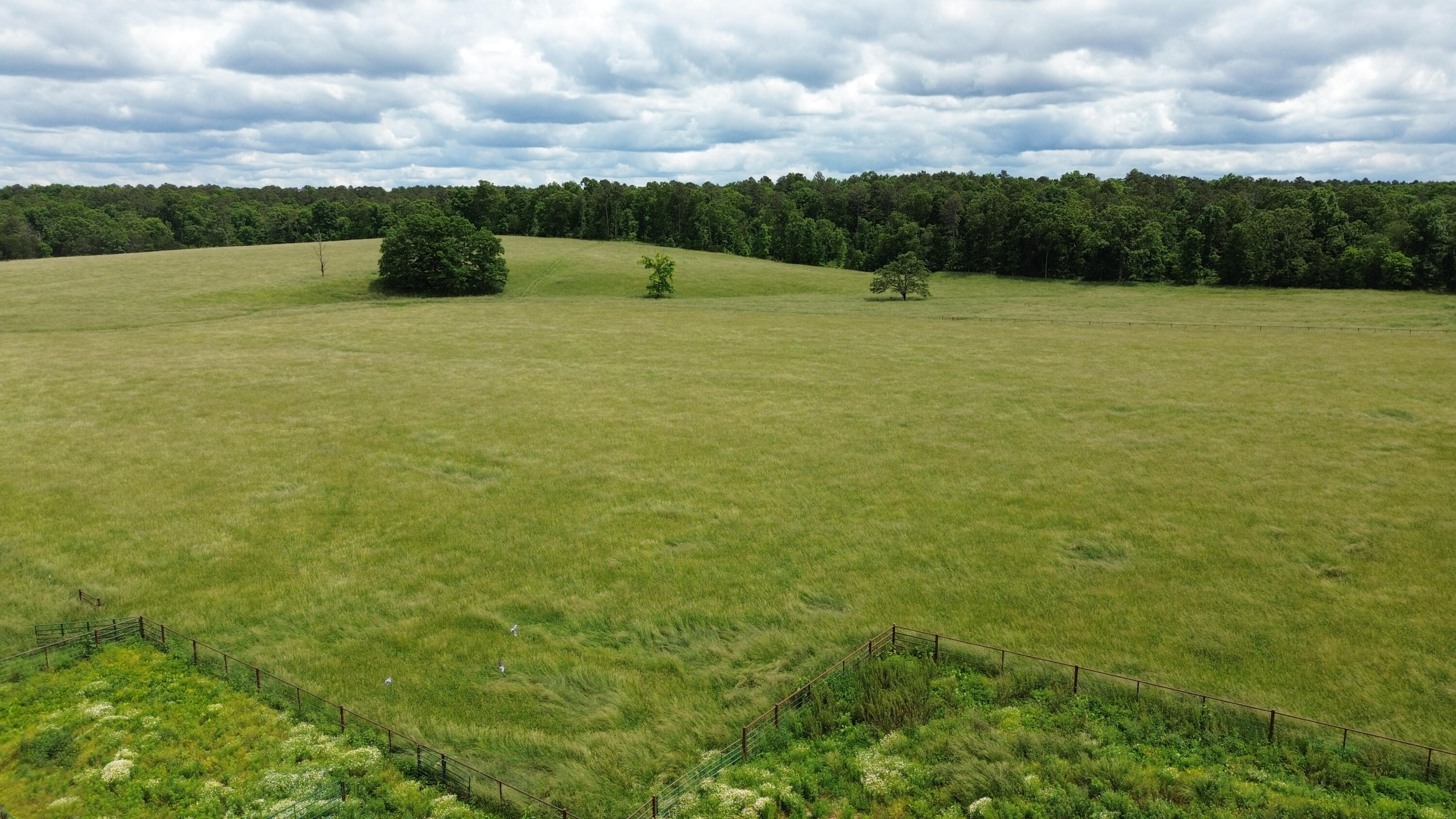 12153 Y Property Photo 16