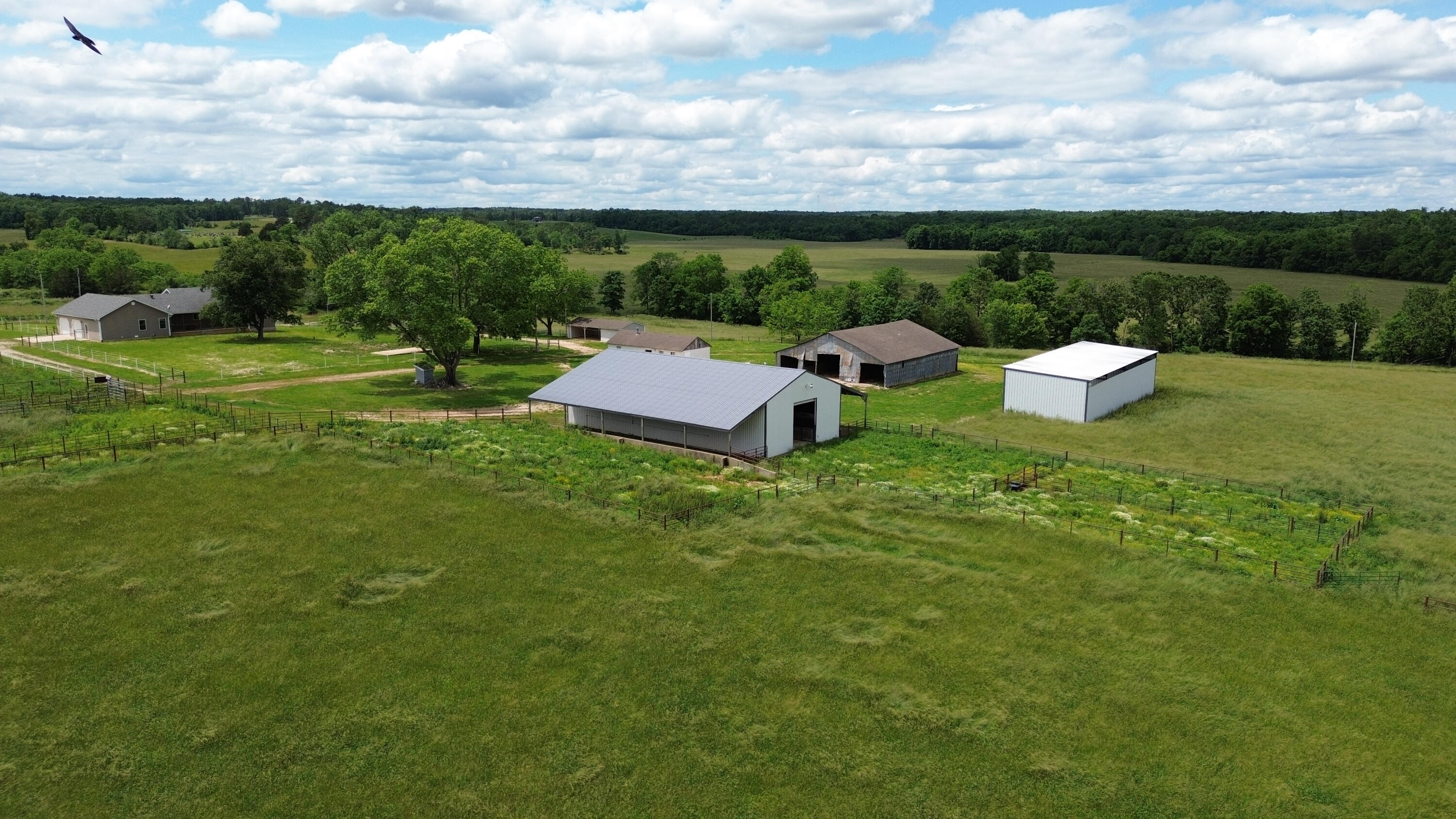 12153 Y Property Photo 17