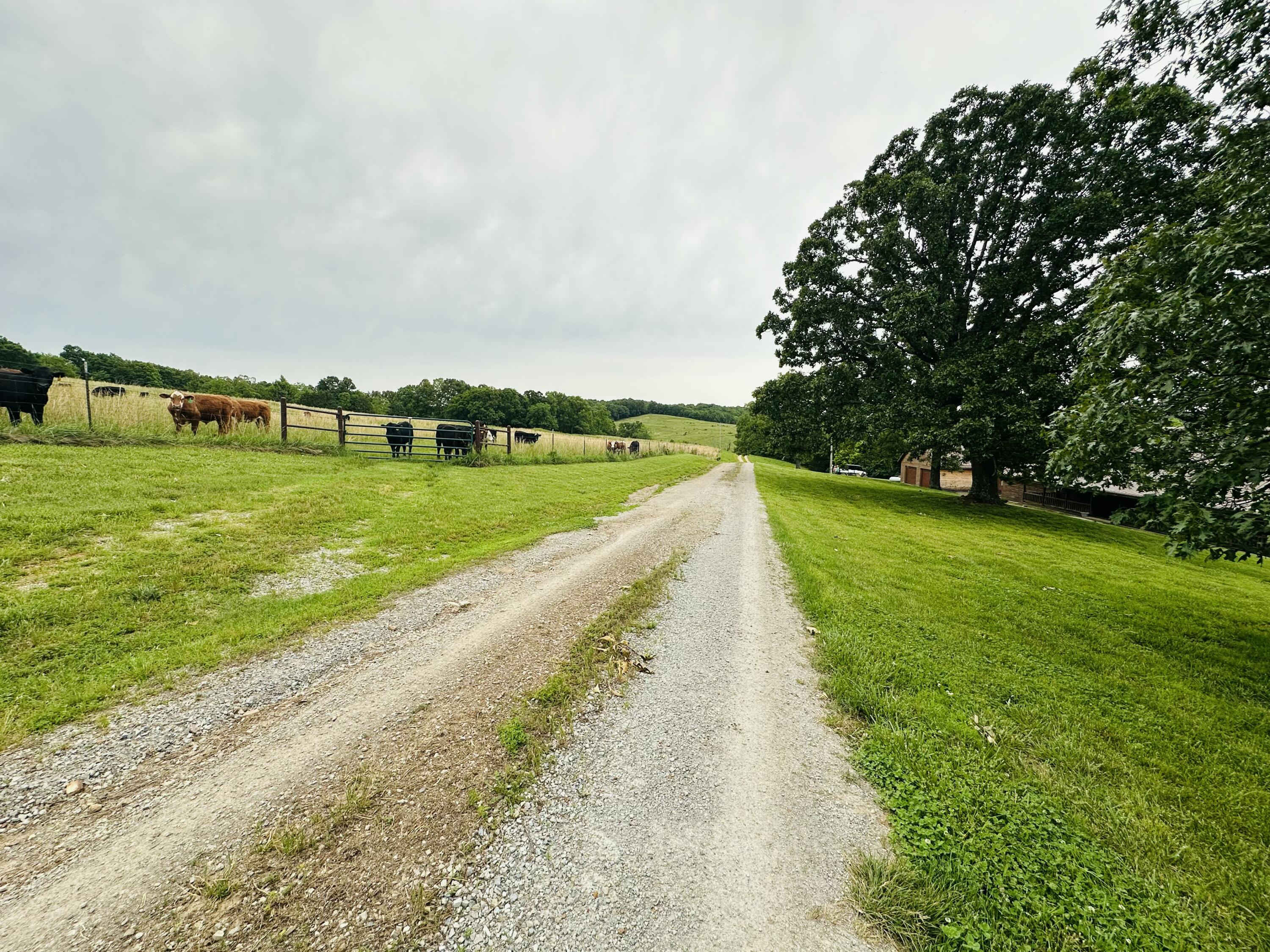 300 Round Up Lane Property Photo 83