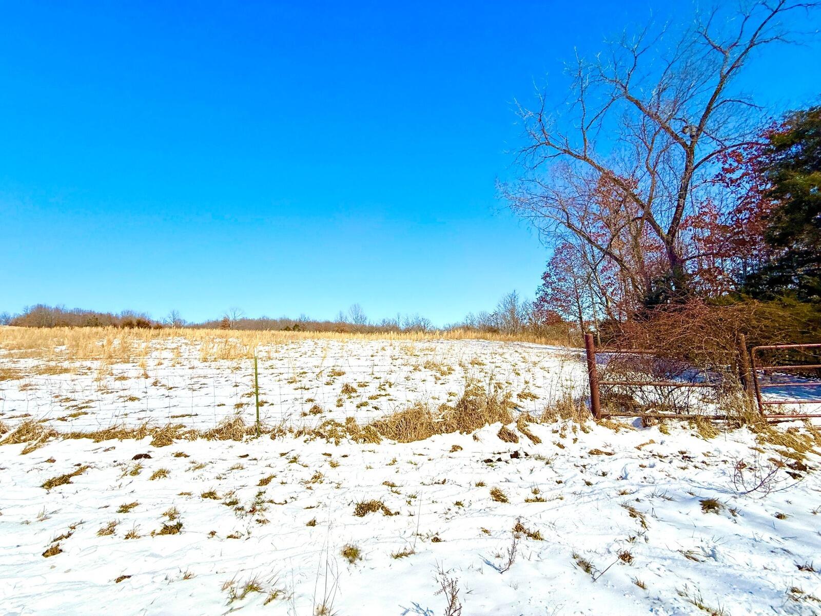 300 Round Up Lane Property Photo 95