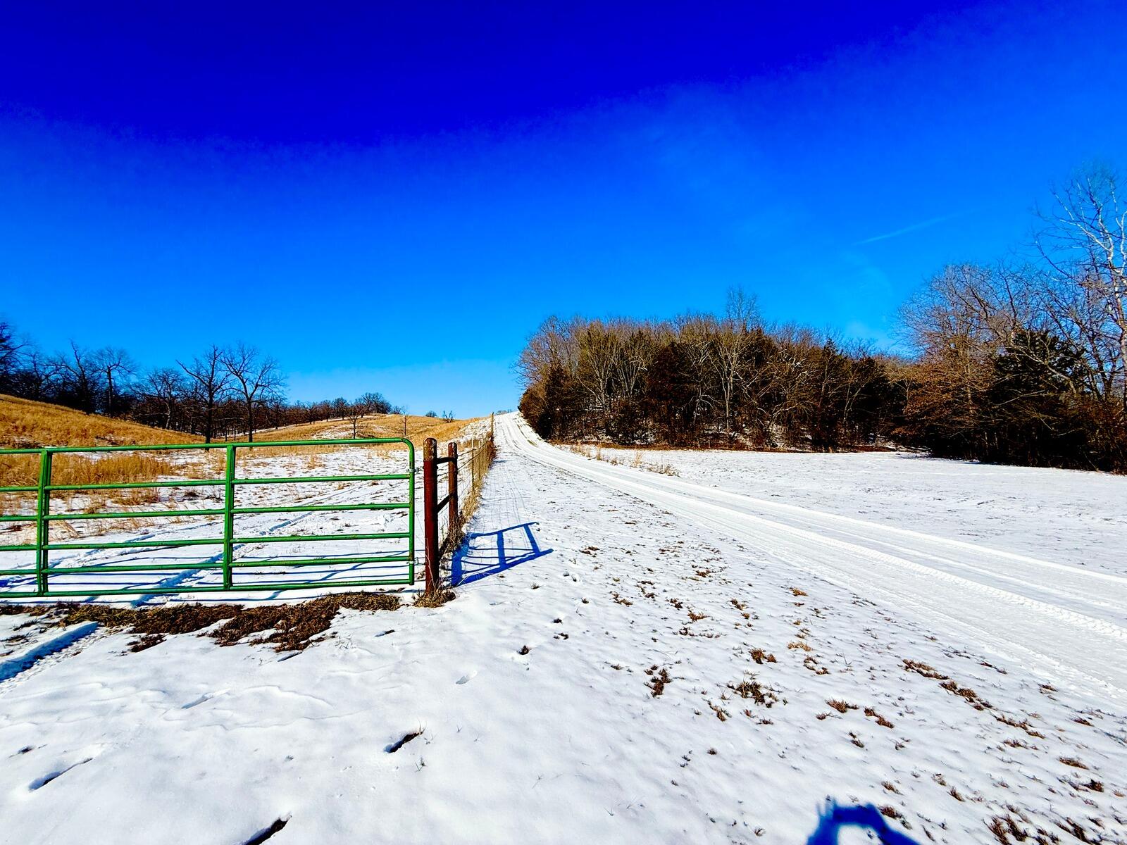 300 Round Up Lane Property Photo 109