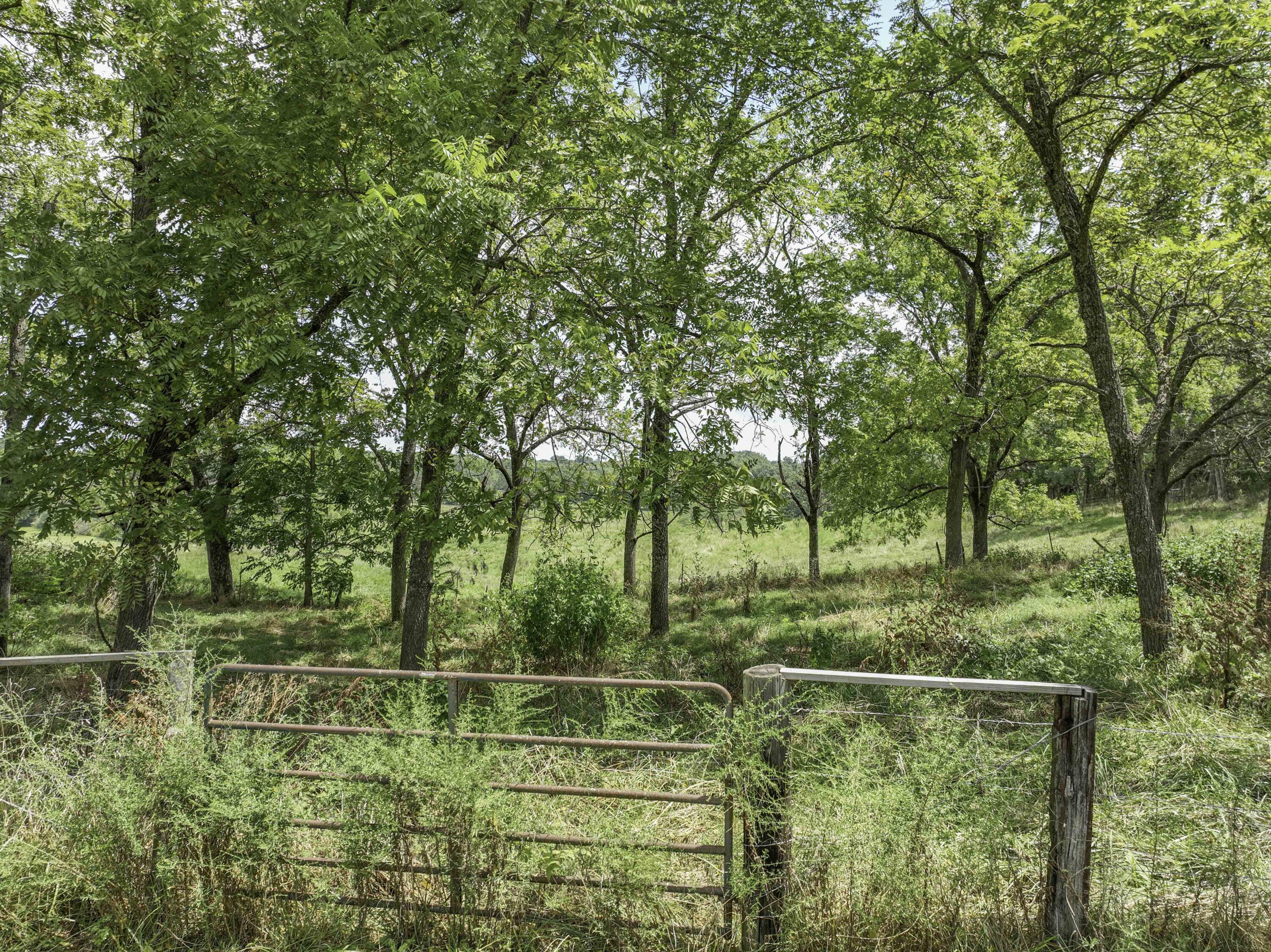 12070 Stave Mill Road Property Photo 25