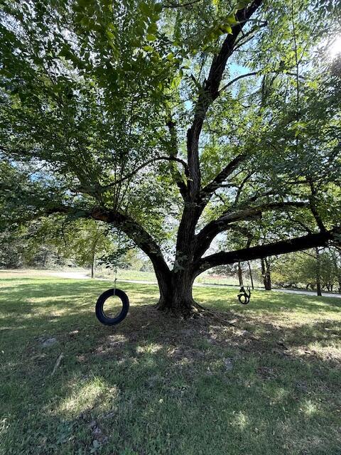 12070 Stave Mill Road Property Photo 34