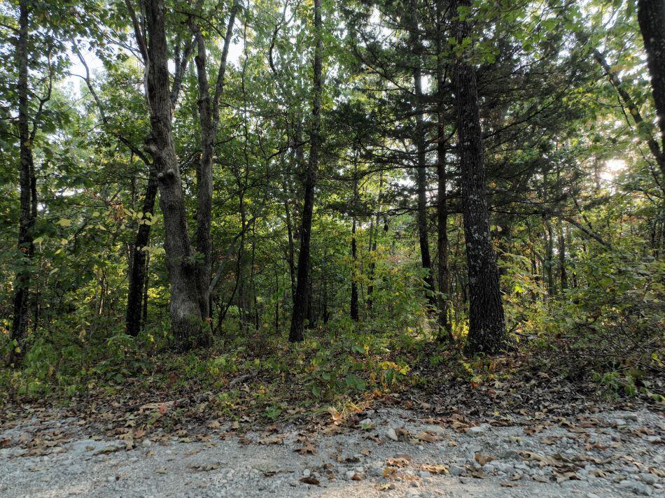 000 State Highway Ak Property Photo 4