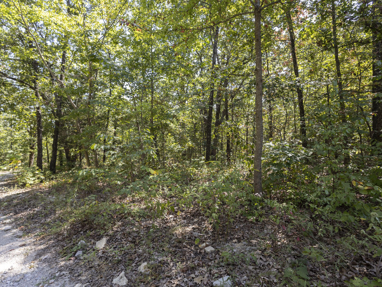 000 State Highway Ak Property Photo 5