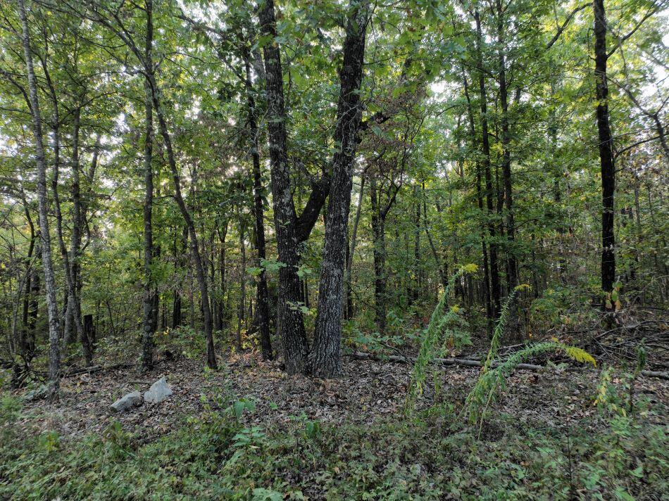 000 State Highway Ak Property Photo 6