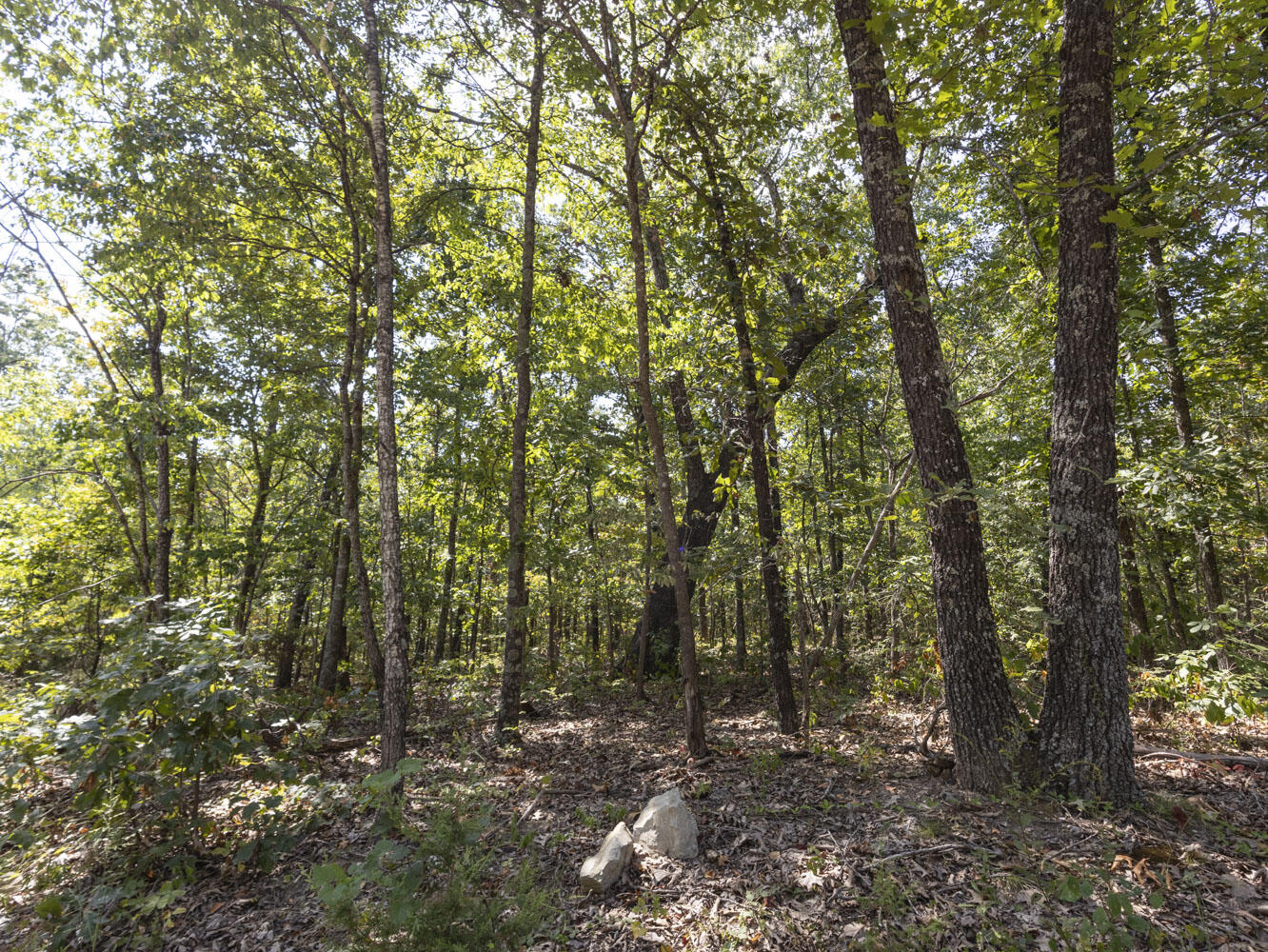 000 State Highway Ak Property Photo 7