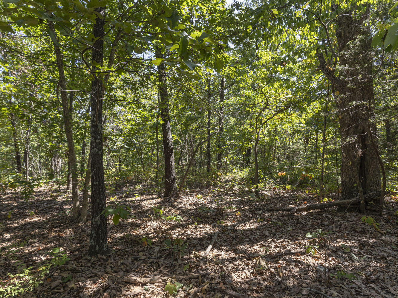 000 State Highway Ak Property Photo 9