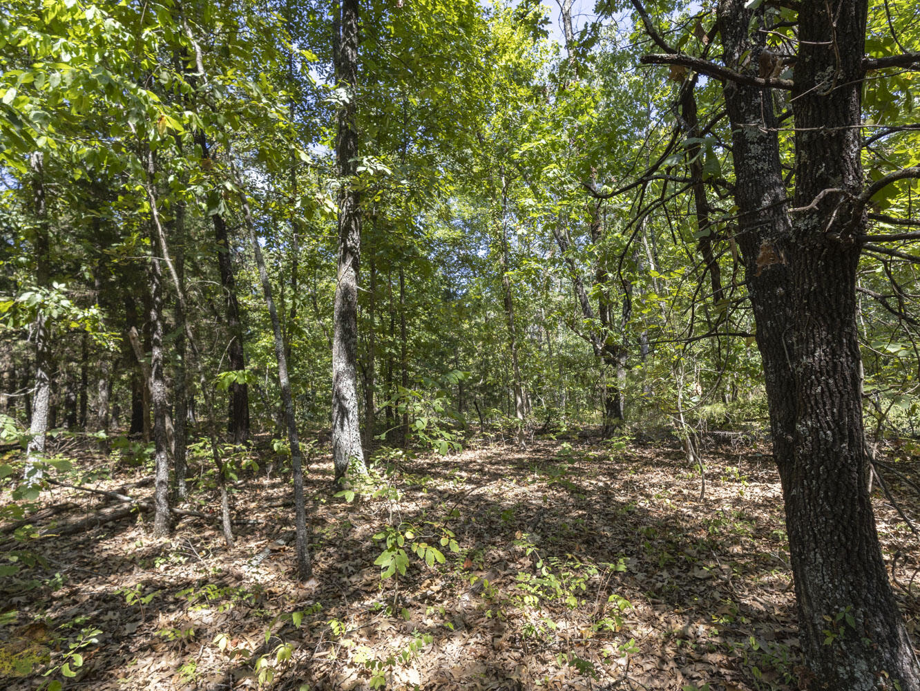 000 State Highway Ak Property Photo 11