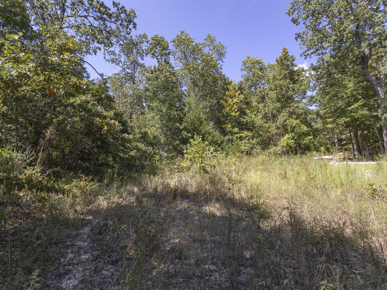 000 State Highway Ak Property Photo 15