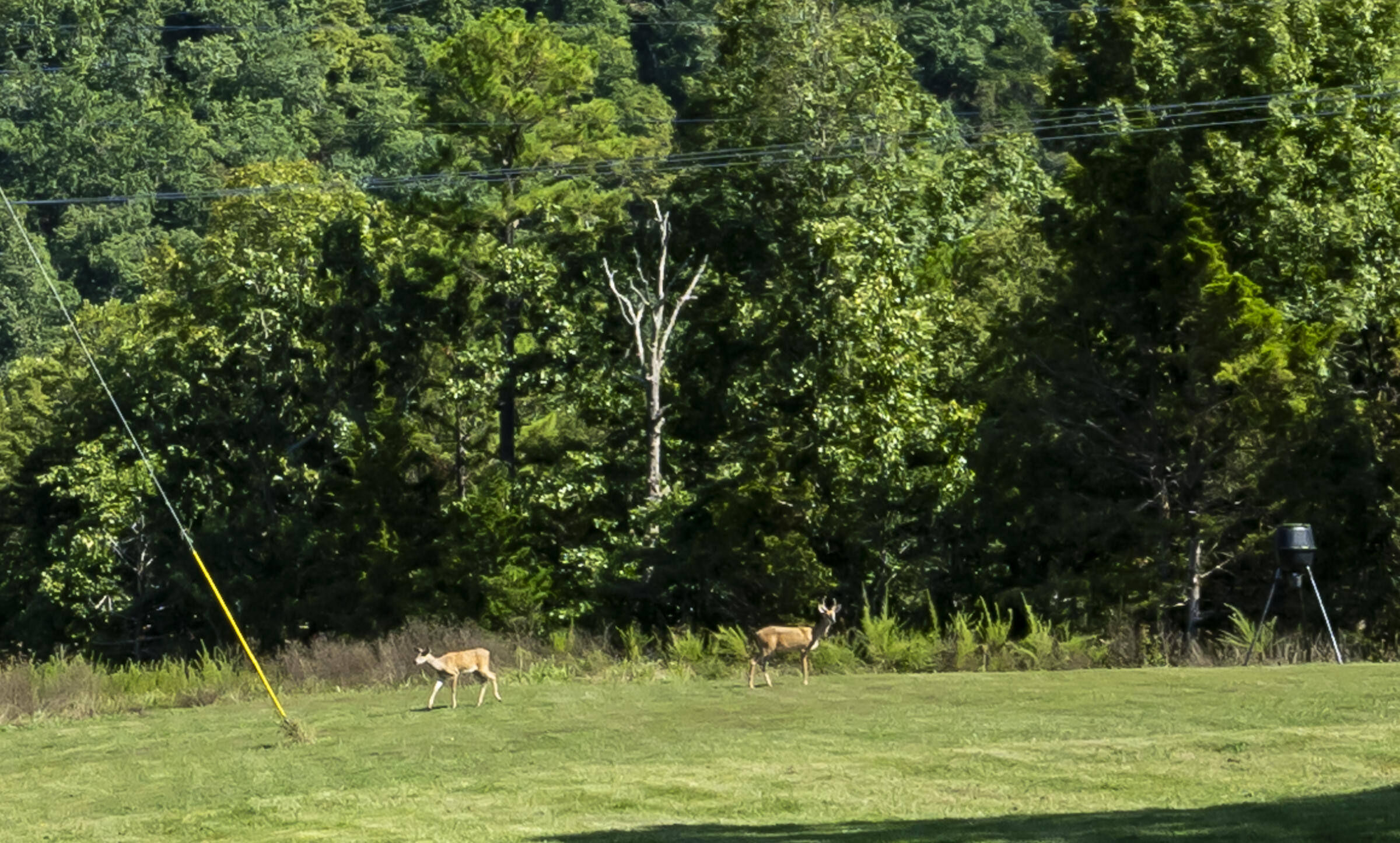 218 Reti Road Property Photo 31