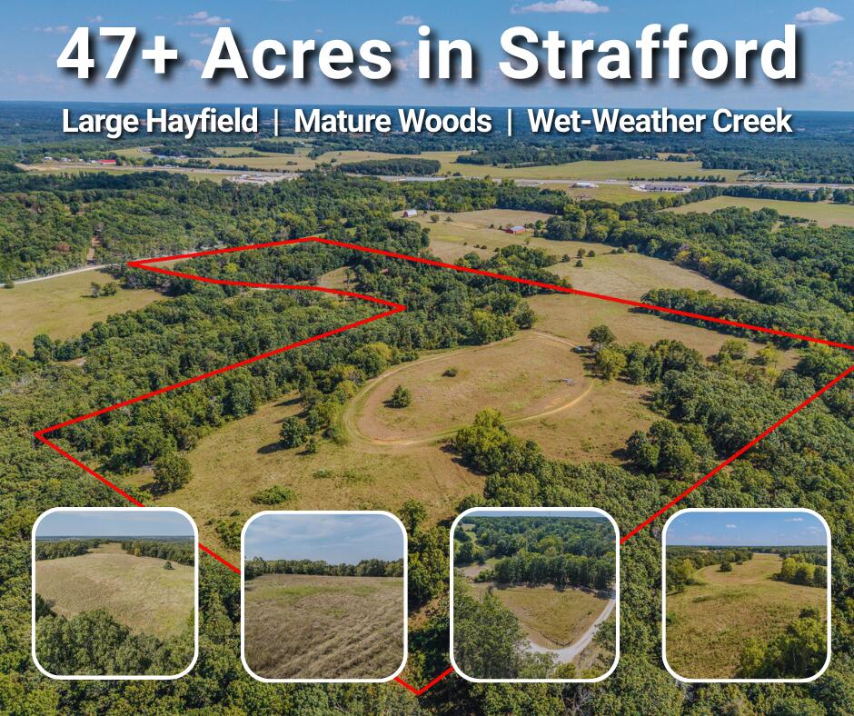 000 White Clover Road Property Photo 1