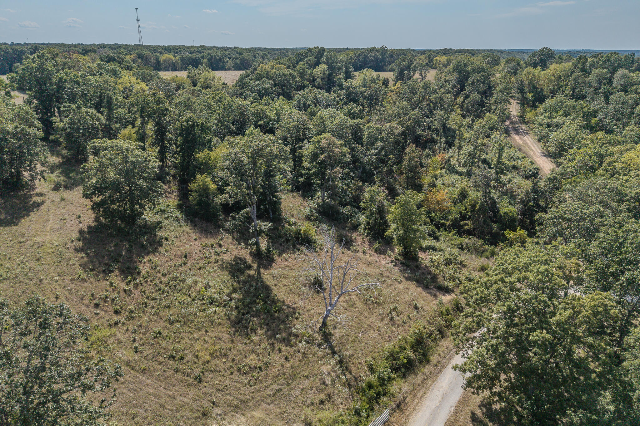 000 White Clover Road Property Photo 10