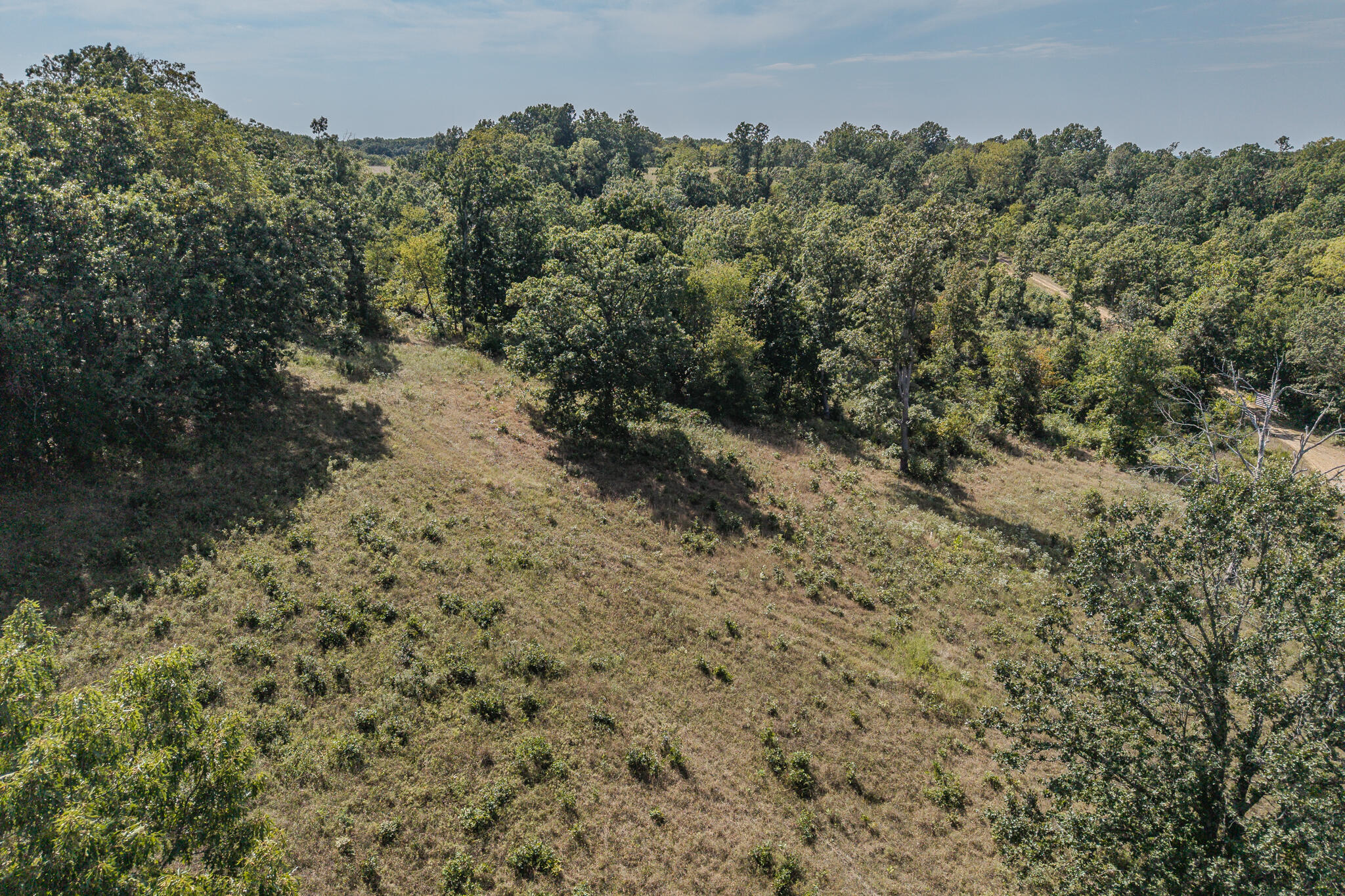 000 White Clover Road Property Photo 13