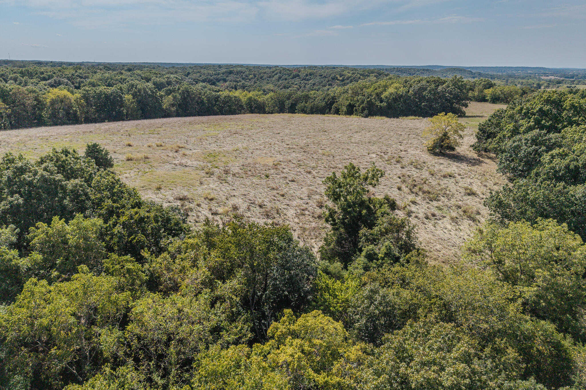 000 White Clover Road Property Photo 15