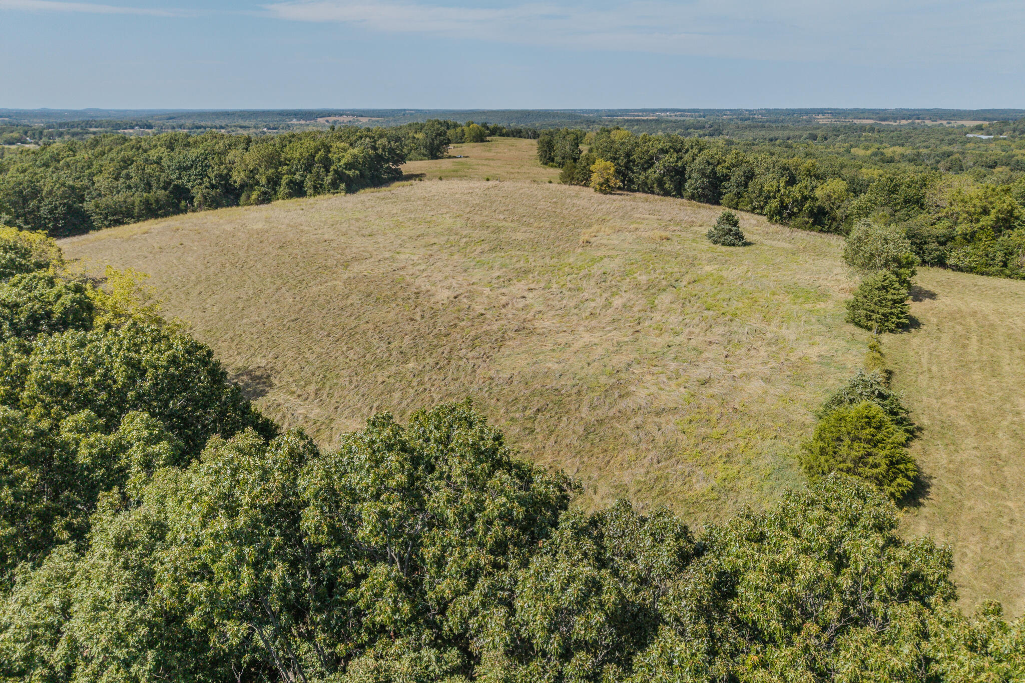 000 White Clover Road Property Photo 16