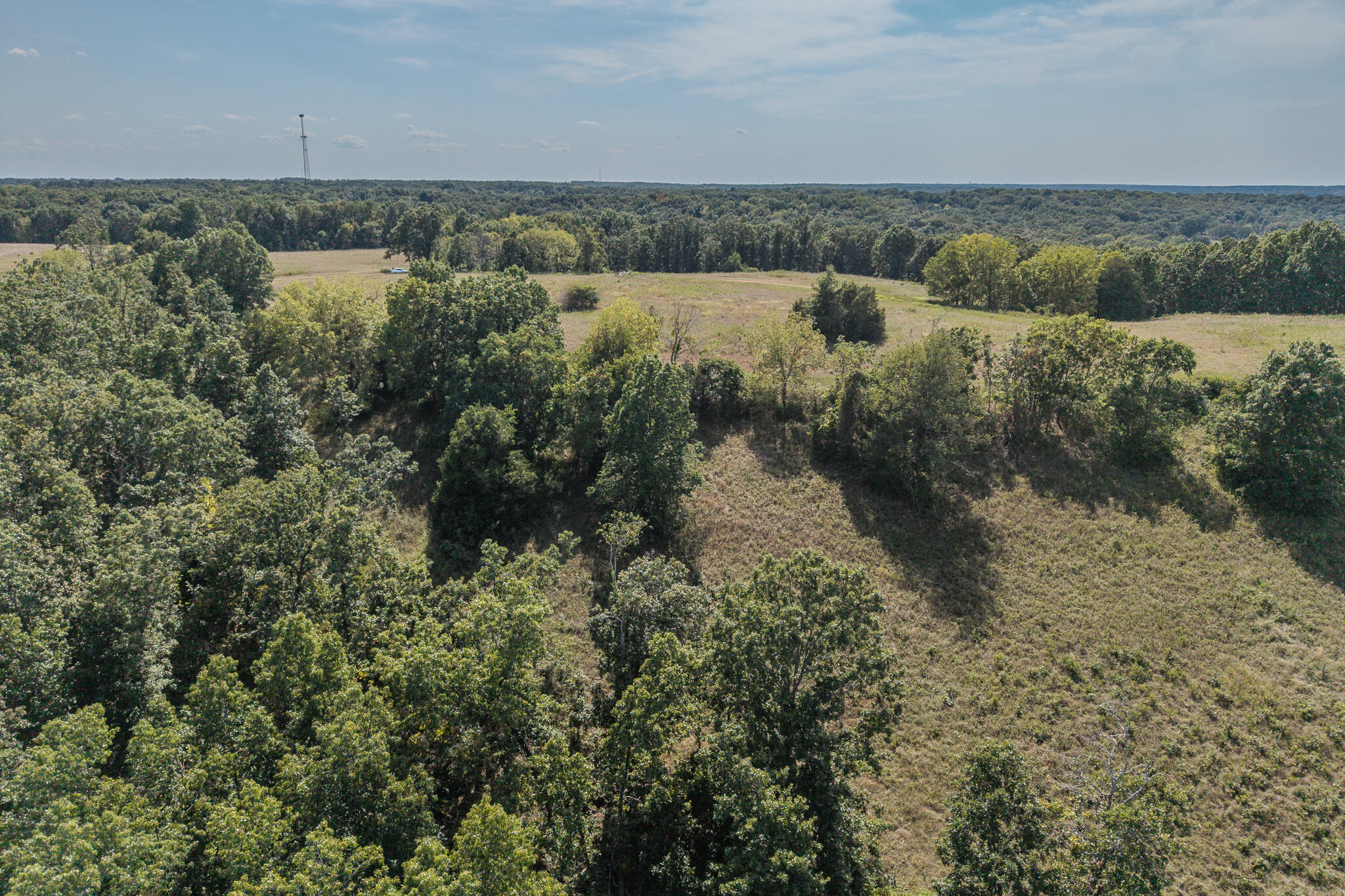 000 White Clover Road Property Photo 20