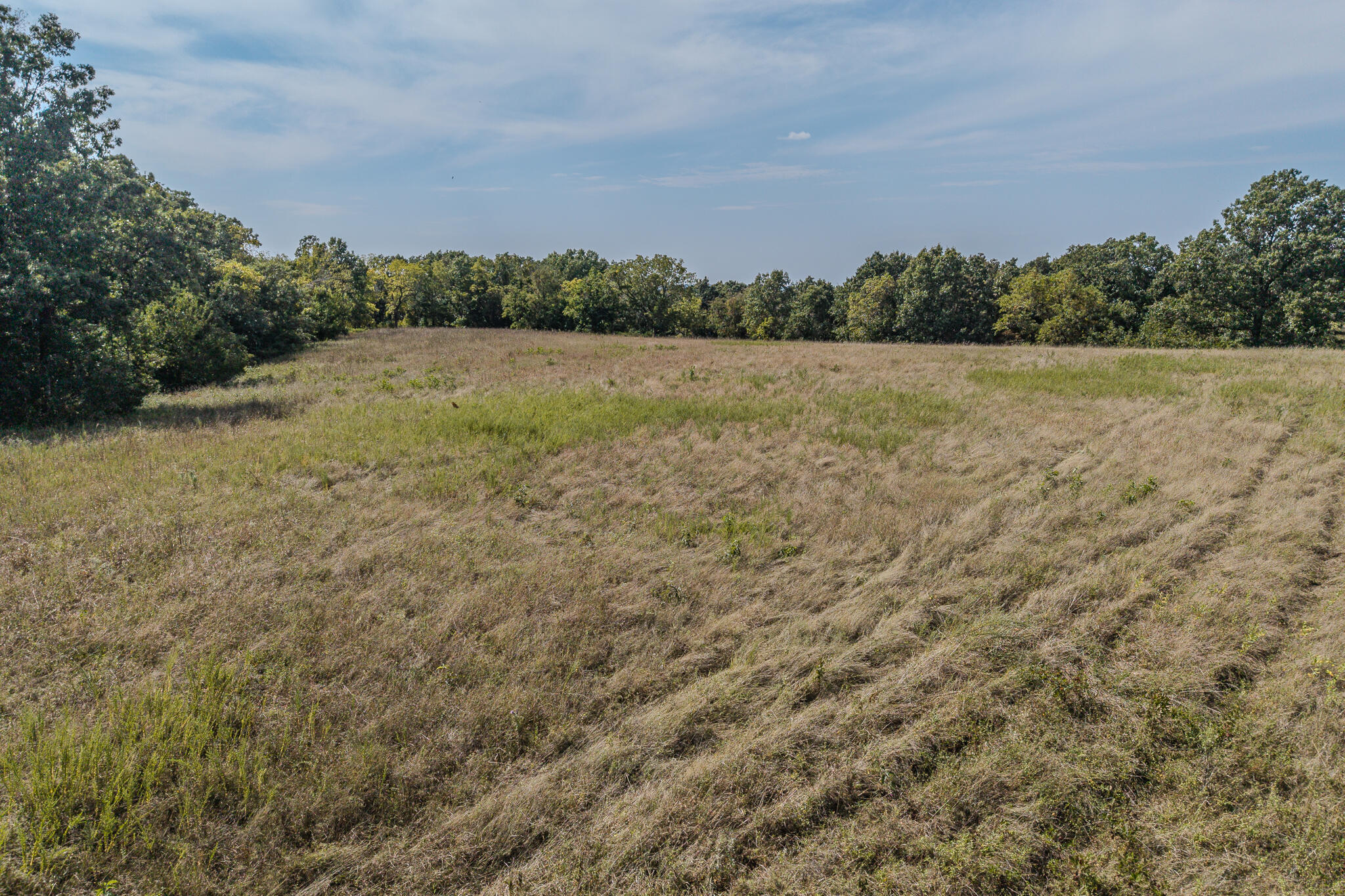 000 White Clover Road Property Photo 21
