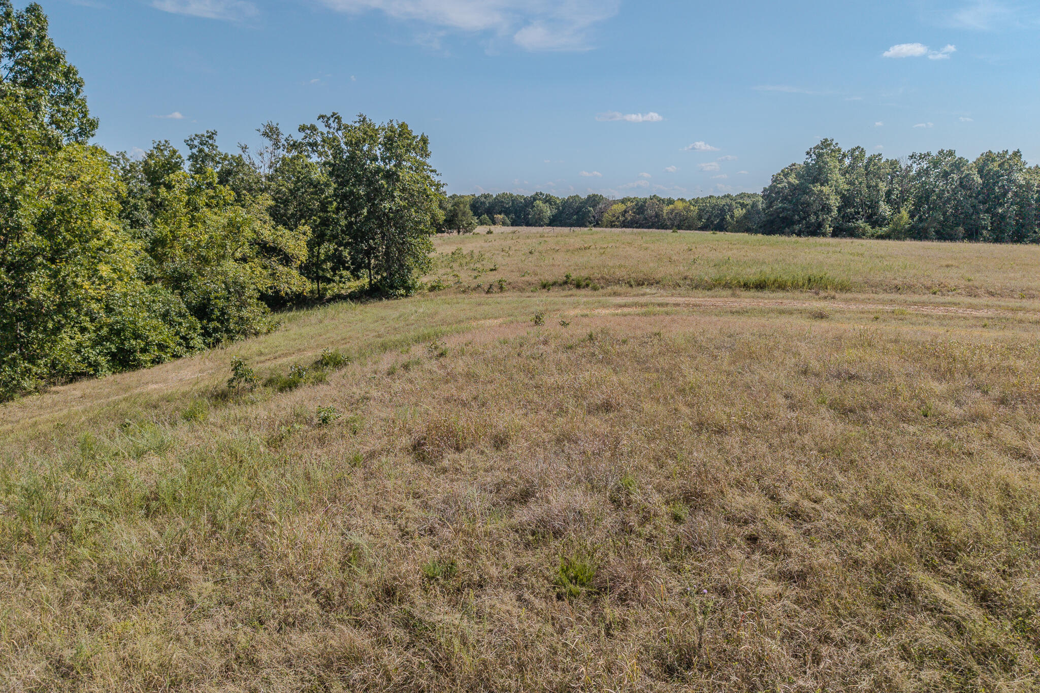 000 White Clover Road Property Photo 21